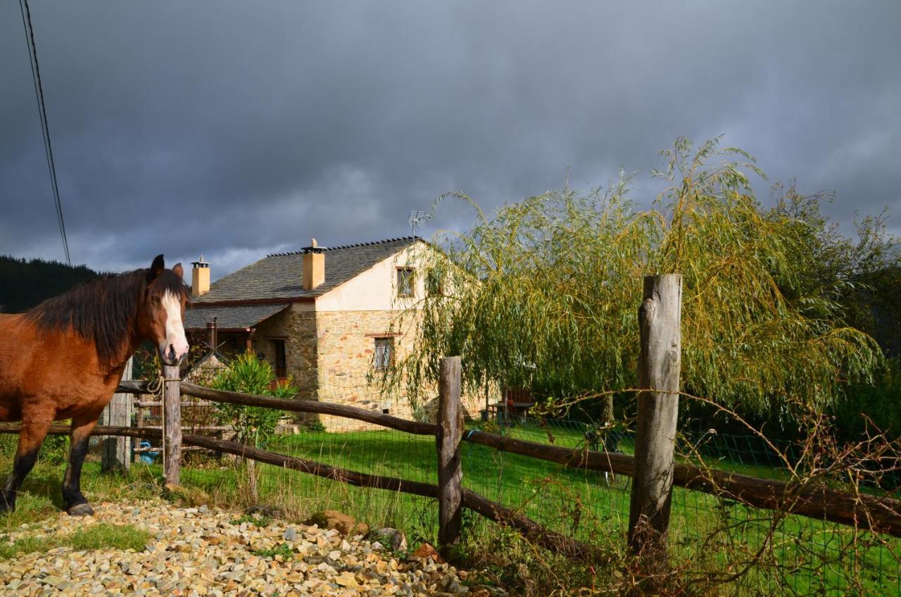 Apartamentos Rurales Tia Vicenta Santa Eulalia de Oscos Dış mekan fotoğraf