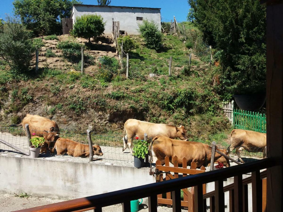 Apartamentos Rurales Tia Vicenta Santa Eulalia de Oscos Dış mekan fotoğraf