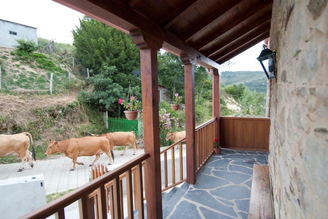 Apartamentos Rurales Tia Vicenta Santa Eulalia de Oscos Dış mekan fotoğraf